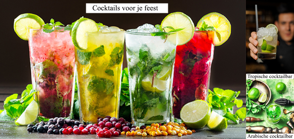 Catering pakketten zonder drank